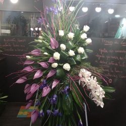 Palma de defunción de flor variada