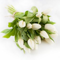 ramo de flores tulipanes blancos a domicilio